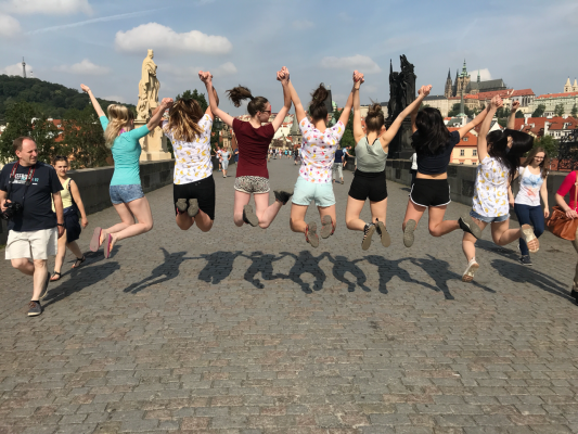 Projekty naší školy