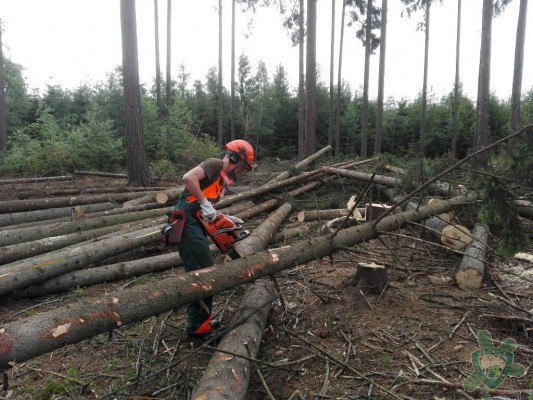 Střední lesnická škola, Hranice, Jurikova 588