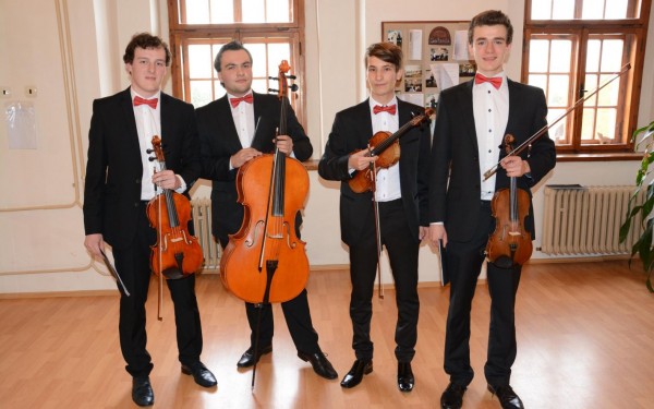 Základní umělecká škola Karla Ditterse Vidnava